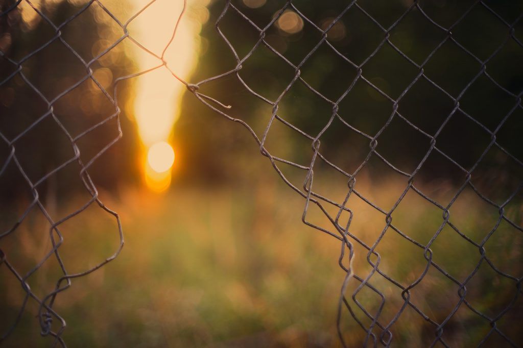 vivir libre